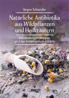 Jürgen Schneider - Natürliche Antibiotika aus Wildpflanzen und Heilkräutern