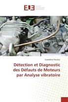 Ezzeddine Ftoutou, Ftoutou-e - Detection et diagnostic des