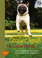 Corinna Lenz - Großer Spaß für kleine Hunde