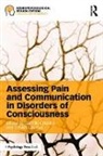 Camille (Harvard Medical School Chatelle, Camille Laureys Chatelle, Camille Chatelle, Camille (Harvard Medical School Chatelle, Chatelle Camille, Steven Laureys... - Assessing Pain and Communication in Disorders of Consciousness