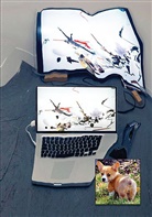 Ian Cheng, Elodi Evers, Elodie Evers, Jenn Jaskey, Jenny Jaskey, John Kelsey... - Ian Cheng. Live Simulations