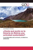 Jack Matijasevic Mostajo - ¿Hasta qué punto es la minería en Bolivia una actividad sustentable?