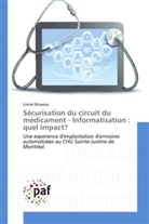 Lionel Brisseau, Brisseau-l - Securisation du circuit du