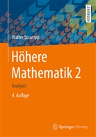 Walter Strampp - Höhere Mathematik - 2: Analysis