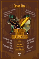César Aira, Klaus Laabs - Eine Episode im Leben des Reisemalers