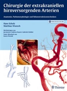 Han Scholz, Hans Scholz, Matthias Wunsch - Chirurgie der extrakraniellen hirnversorgenden Arterien