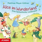 Matthias Meyer-Göllner - Alice im Wunderland, Audio-CD (Audio book)