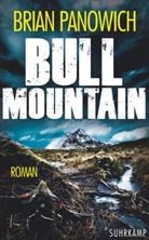 Brian Panowich - Bull Mountain