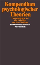 Mar Galliker, Mark Galliker, Wolfradt, Wolfradt, Uwe Wolfradt - Kompendium psychologischer Theorien