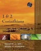David W. J. Gill, Moyer V. Hubbard, Clinton E. Arnold - 1 and 2 Corinthians
