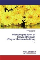 Shagufta Naz, Ambree Zafarullah, Ambreen Zafarullah - Micropropagation of Chrysanthemum (Chrysanthemum Indicum L.)
