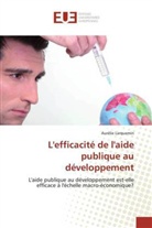 Aurélie Larquemin, Larquemin-a - L efficacite de l aide publique