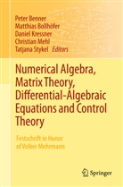 Peter Benner, Matthias Bollh¿fer, Matthia Bollhöfer, Matthias Bollhöfer, Daniel Kressner, Daniel Kressner et al... - Numerical Algebra, Matrix Theory, Differential-Algebraic Equations and Control Theory