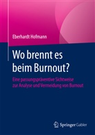 Eberhardt Hofmann - Wo brennt es beim Burnout?