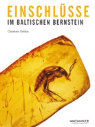 Carsten Gröhn - Einschlüsse im baltischen Bernstein