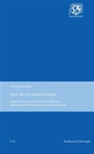 Gerd Heusch, Haneklaus, Haneklaus, Birgitt Haneklaus, Ger Heusch, Gerd Heusch - Der akute Herzinfarkt