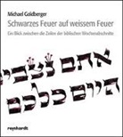 Michael Goldberger - Schwarzes Feuer auf weissem Feuer