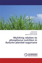 Mukes Kumar, Mukesh Kumar, Vina Kumar, Vinay Kumar, Jitendra Kumar Kushwah - Mulching relation to phosphorus nutrition in Autumn planted sugarcane