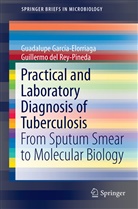 Guille del Rey-Pineda, Guillermo Del Rey-Pineda, Guadalup García-Elorriaga, Guadalupe García-Elorriaga, Guillermo del Rey-Pineda - Practical and Laboratory Diagnosis of Tuberculosis