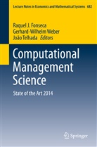 Raquel J. Fonseca, Joao Telhada, João Telhada, Gerhard-Wilhel Weber, Gerhard-Wilhelm Weber - Computational Management Science