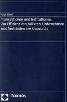 Anja Zibell - Transaktionen und Institutionen: Zur Effizienz von Märkten, Unternehmen und Verbänden am Amazonas