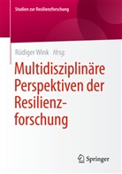 Rüdige Wink, Rüdiger Wink - Multidisziplinäre Perspektiven der Resilienzforschung