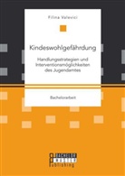 Filina Valevici - Kindeswohlgefährdung: Handlungsstrategien und Interventionsmöglichkeiten des Jugendamtes