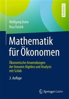 Wolfgan Kohn, Wolfgang Kohn, Riza Öztürk - Mathematik für Ökonomen