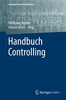Wolfgan Becker, Wolfgang Becker, Ulrich, Ulrich, Patrick Ulrich - Handbuch Controlling: Handbuch Controlling
