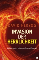 David Herzog - Invasion der Herrlichkeit