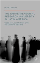Pedro Pineda - Entrepreneurial Research University in Latin America