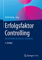 Ulric Krings, Ulrich Krings - Erfolgsfaktor Controlling