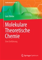 Lutz Zülicke - Molekulare Theoretische Chemie