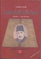 Ahmet Edip - Harabi Divani Yasami ve Tüm Siirleri