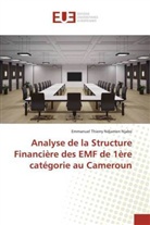 Emmanuel Thierry Ndjamen Njabo, Ndjamen njabo-e - ANALYSE DE LA STRUCTURE FINANCIERE DES EMF DE 1ERE CATEGORIE AU CAMEROUN