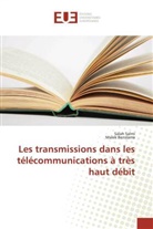 Malek Benslama, Sala Salmi, Salah Salmi - Les transmissions dans les