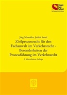 Judith Sattel, Jörg Schneider - Zivilprozessrecht für den Fachanwalt im Verkehrsrecht - Besonderheiten der Prozessführung im Verkehrsrecht