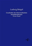 Ludwig Brügel - Geschichte der österreichischen Sozialdemokratie