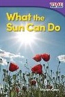 Sharon Coan - What the Sun Can Do