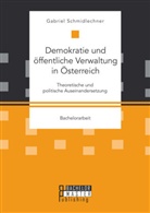 Gabriel Schmidlechner - Demokratie und öffentliche Verwaltung in Österreich: Theoretische und politische Auseinandersetzung