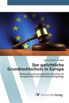 Audrey Eugénie Schlegel - Der gerichtliche Grundrechtschutz in Europa