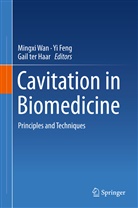Y Feng, Yi Feng, Gail ter Haar, Gail ter Haar, Mingxi Wan - Cavitation in Biomedicine
