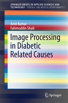 Ami Kumar, Amit Kumar, Fahimuddin Shaik - Image Processing in Diabetic Related Causes