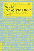 Richard Amesbury, Christoph Ammann - Was ist theologische Ethik?