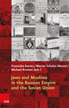 Michae Brenner, Michael Brenner, Franziska Davies, Schulze Wes, Martin Schulze Wessel - Jews and Muslims in the Russian Empire and the Soviet Union