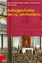 Klaus Davidowicz, Klaus S Davidowicz, Klaus S. Davidowicz, Anto Grabner-Haider, Anton Grabner-Haider, S Davidowic Klaus... - Kulturgeschichte des 19. Jahrhunderts