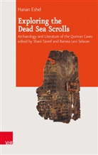 Hanan Eshel, Levi Selavan, Levi Selavan, Barnea Selavan, Barnea Levi Selavan, Shan Tzoref... - Exploring the Dead Sea Scrolls