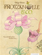 Oskar Weiss, Oskar Weiss - Protzknolle & Co.