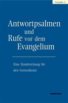 Amt für Kirchenmusik der Diözese Ro, Amt für Kirchenmusik der Diözese Rot, Amt für Kirchenmusik der Diözese Rottenburg-Stuttgart, Leitung: Walter Hirt Amt für Kirchenmusik der Diözese Rottenburg-Stuttgart, für Kirchenmusik der Diözese Rot, für Kirchenmusik der Diözese Rot... - Antwortpsalmen und Rufe vor dem Evangelium - Lesejahr C