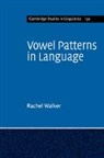 Rachel Walker - Vowel Patterns in Language